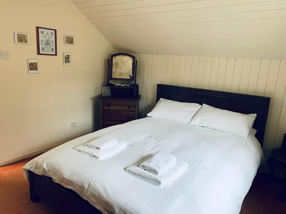 Trinity Annexe An Adorable First Floor Light And Lofty Space Within An Aonb Godmanstone Luaran gambar