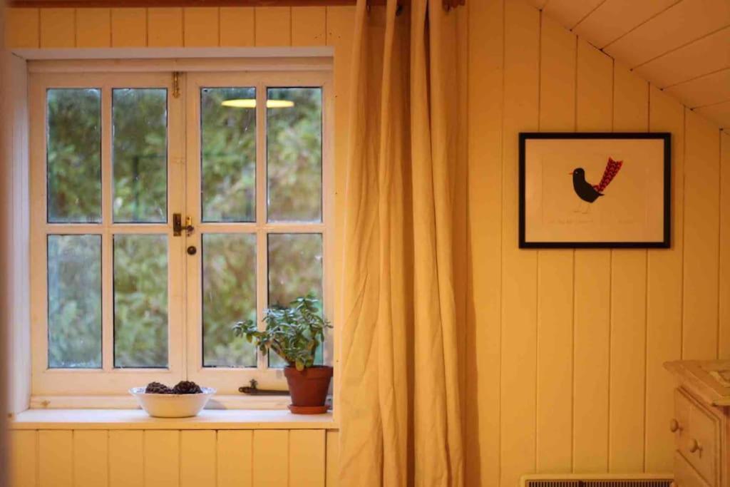 Trinity Annexe An Adorable First Floor Light And Lofty Space Within An Aonb Godmanstone Luaran gambar