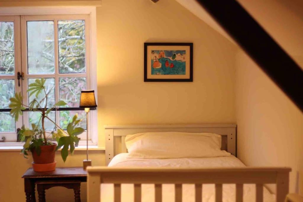 Trinity Annexe An Adorable First Floor Light And Lofty Space Within An Aonb Godmanstone Luaran gambar